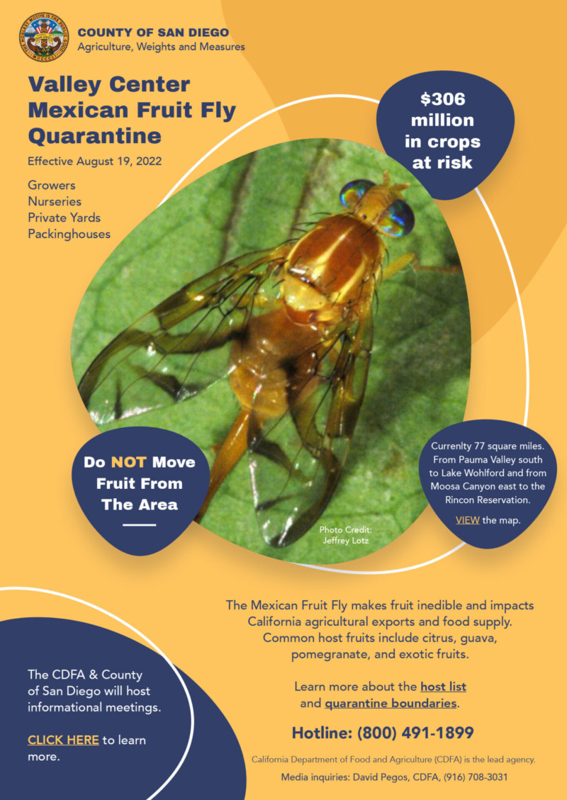 Mexican fruit fly quarantine declared in Valley Center PublicCEO