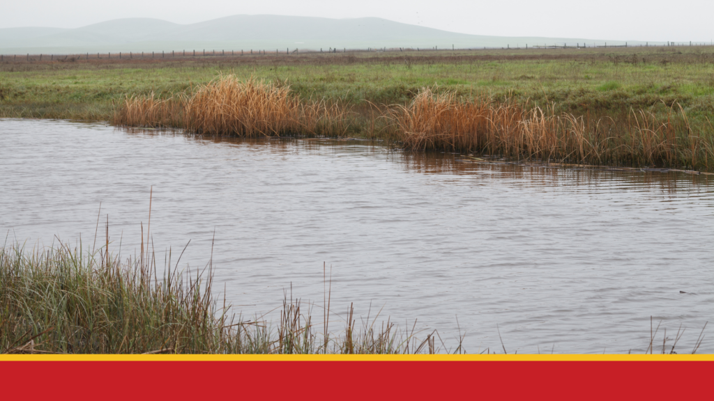 Suisun City Council names acting city manager PublicCEO