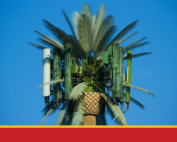 Palm cell phone tower